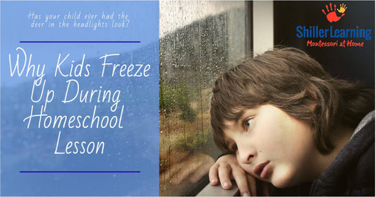 What to Do When Your Child Freezes Up During a Homeschool Lesson