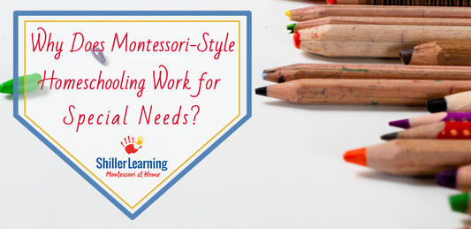 Why Does Montessori-Style Homeschooling Work for Special Needs?