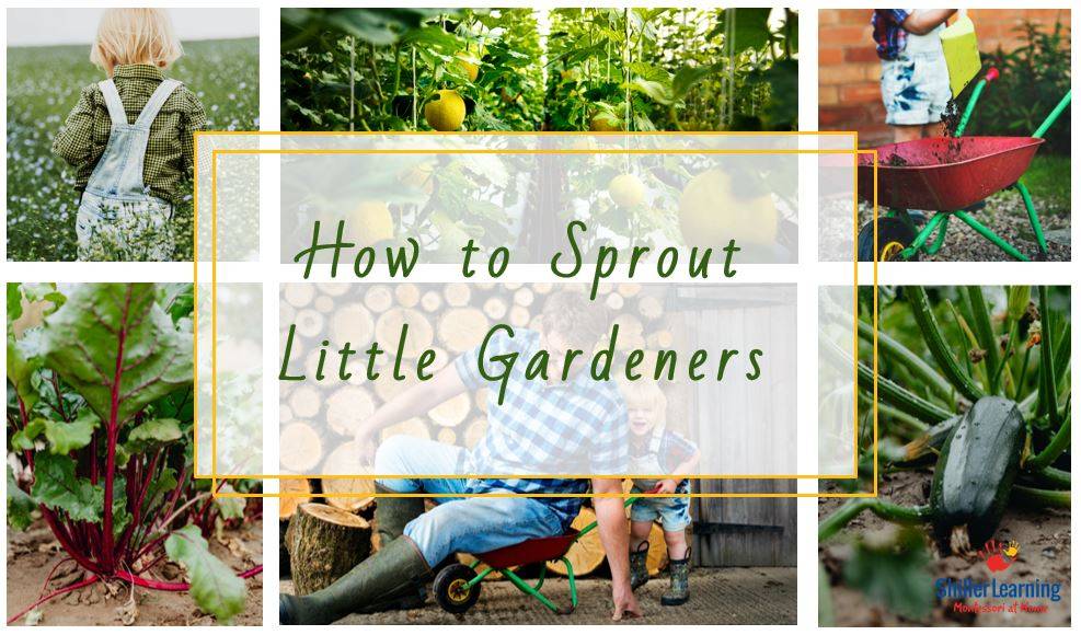 How to Sprout Little Gardeners