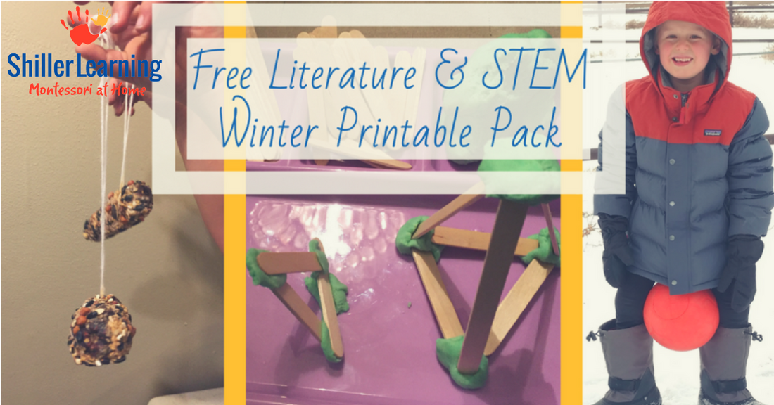 Part II of the Winter Literature Printable