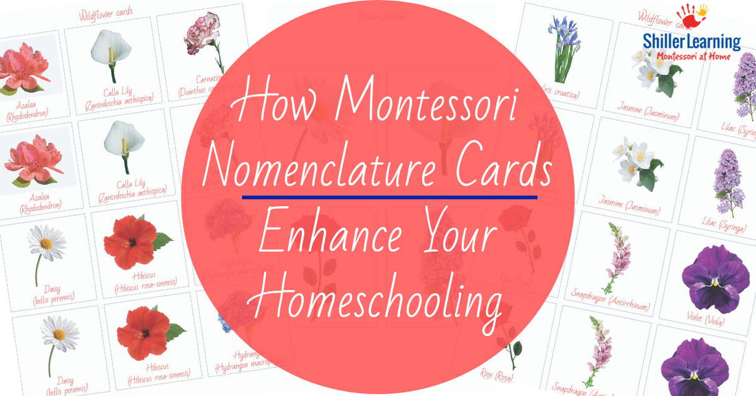 How Nomenclature Cards Provide Vocabulary For Kids