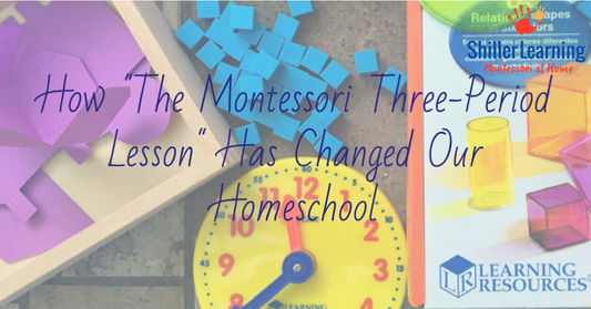 How the Montessori Three Period Lesson Has Changed Our Homeschool