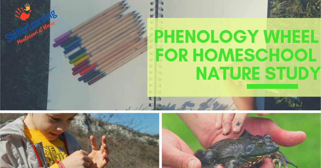 Phenology Wheel for Homeschool Nature Study