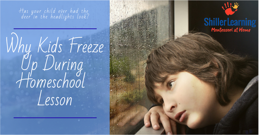 What to Do When Your Child Freezes Up During a Homeschool Lesson