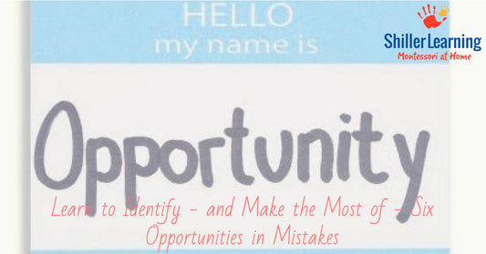 Learn to Identify - and Make the Most of - Six Opportunities in Mistakes