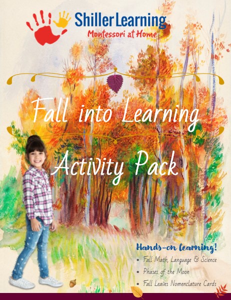 Fall into Learning Activity Pack